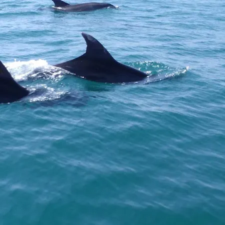 Ξενοδοχείο By Kavia 2*